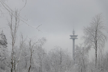 Aussichtsturm zwischen verschneiten Bäumen im Winterwald