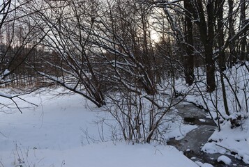 Frozen trough of a stream.