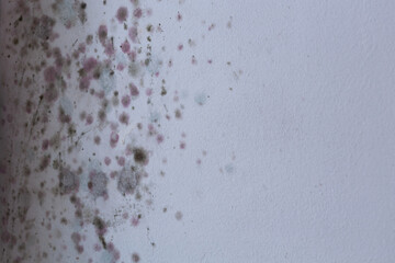 mold on the wall in the house, high humidity, the ventilation system is not working