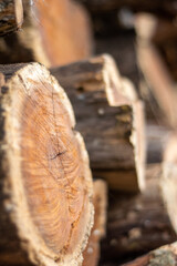 log cabin log