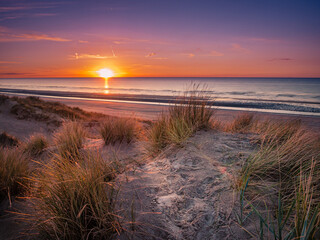 Colorful sunset behing marram grass covered dunes at he beach
