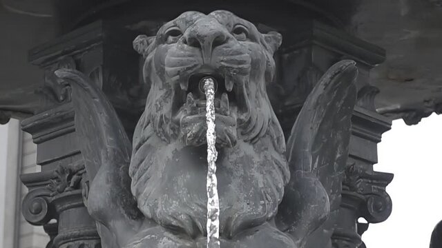 Fountain in the shape of a lion throwing water. Stone fountain in slow motion.