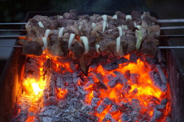 juicy shish kebab on the grill
