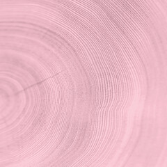 Tree Rings Backgroud