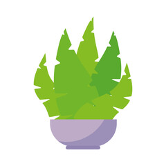 tropical plant in a pot, colorful design