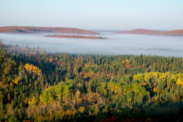 Superior National forest in morning fog
