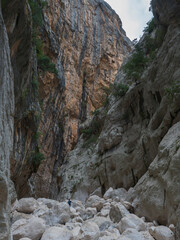 view of Gola Su Gorropu gorge with limestone rock walls, green bush and trees. Famous tourist hiking destination at Supramonte Mountains, Nuoro, Sardinia, Italy. Summer
