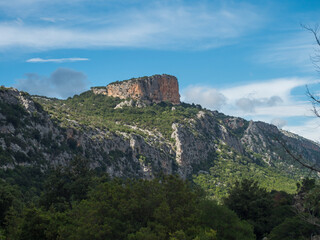 Fototapeta na wymiar View of green forest landscape of Supramonte Mountains with limestone rock and mediterranean vegetation, Nuoro, Sardinia, Italy. Summer cloudy day