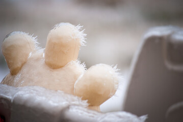 Ice covered childs toy wheel