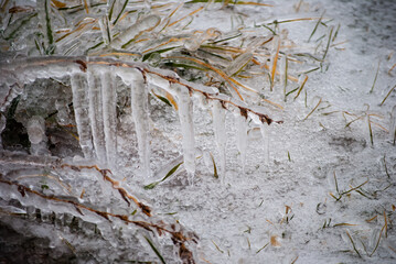 Ice Covered Twigs with Icicle and Brick background