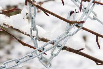 Metal chain hanging on a bush branch in winter
