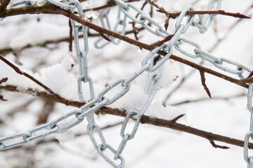 Metal chain hanging on a bush branch in winter