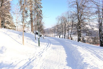 Fototapeta premium Countryside road through winter field with forest on a horizon