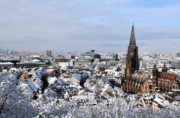 Fototapeta na wymiar Freiburg im Breisgau mit Schnee