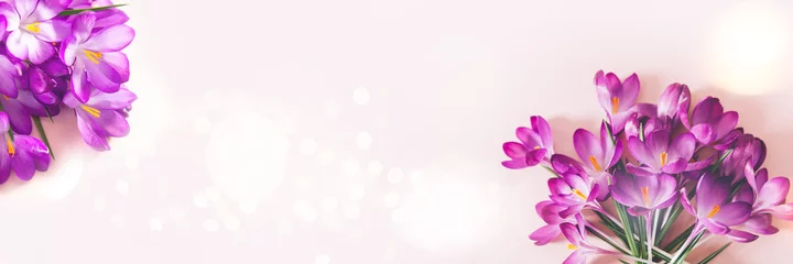 Zelfklevend Fotobehang Creative layout pattern made with spring crocus flowers on pink background. Flat lay, banner size. Spring minimal concept. © manuta