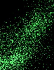 Green Fluff Graphic Background Texture. It's a blizzard of emerald snow framing a black background.