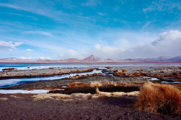 Laguna Colorada, Bolivia. The Red Lagoon, Bolivia. 