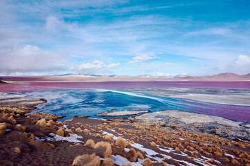 Laguna Colorada, Bolivia. The Red Lagoon, Sunny Day. Bolivia. 