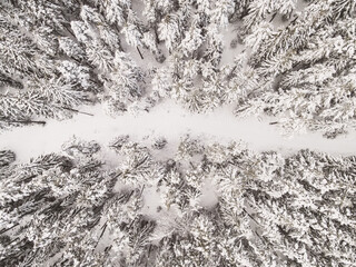 fantastic winter in the Black Forest excellent highlights.