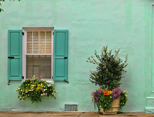 Fototapeta premium Charleston Window Box 1081