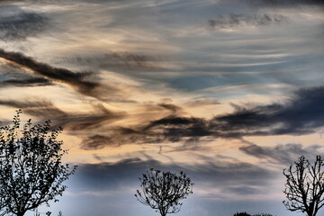 Baumkronen vor Sonnenuntergangshimmel mit Wolken im Herbst
