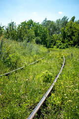 Fototapeta premium Old rusty railway and green meadow