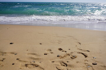 Beach Sand
