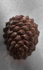 Piña sobre hielo 