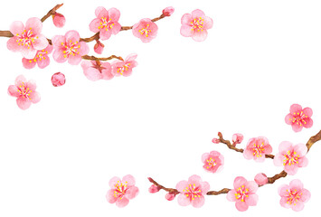 Fototapeta na wymiar 水彩　梅の花　フレーム素材　横
