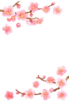 水彩　梅の花　フレーム素材　縦