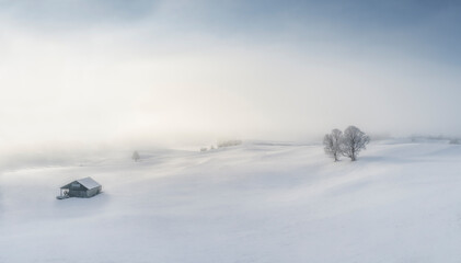 Dreamy winter landscape with snow covered trees, house and sun poking through mist