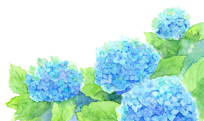 Obraz premium アジサイ 青 コーナーフレーム素材 水彩画