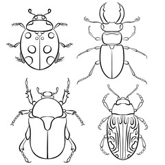 Vector illustration with insect beetles. Set in line art style isolated on white background. Ladybird, beetle deer, green beetle, calligrapha serpentina. Coloring book page