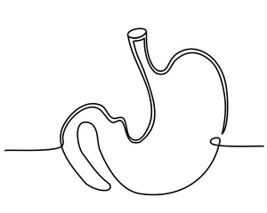 Single continuous line of Stomach. Line art of Stomach human organ. Trendy minimalistic style. Vector illustration.