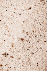 texture of sand. Blurred sand as a hindrance. Sand on the beach. Beige background with sand 