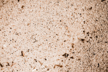 Fine sand with small black particles. Out of focus sand