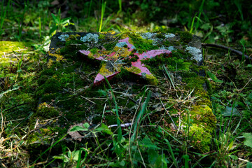 gwiazda sowiecka na cmentarzu © Dariusz Grochal 