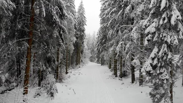 drone dans la for&ecirc;t enneig&eacute;e et plaine