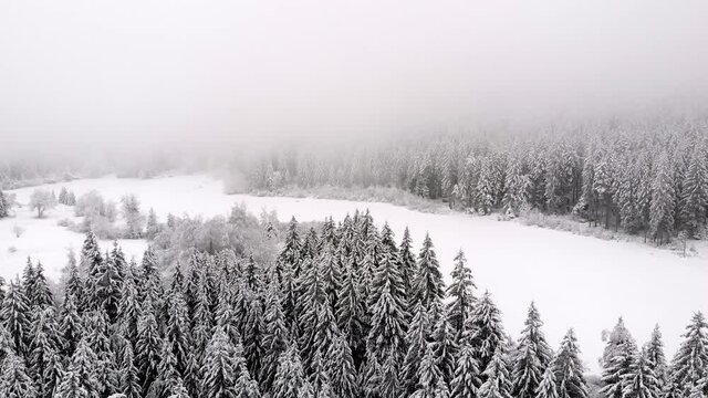 drone dans la for&ecirc;t enneig&eacute;e et plaine