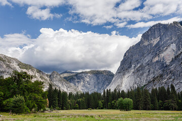Fototapeta na wymiar Yosemite National Park scenic view of grassy field with deer grazing and storm clouds overhead