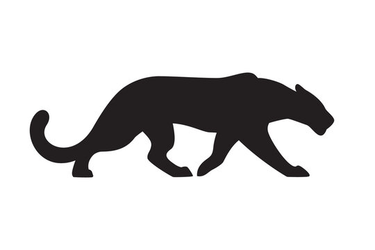 Black silhouette of panther. Vector wildcat illustration. Predator animal isolated on white background as logo, mascot or tattoo