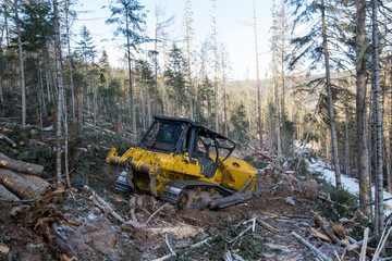 Obraz na płótnie Canvas Allocated in the winter taiga, where conifers are cut down. A large yellow bulldozer clears forest clearings of small twigs and branches.