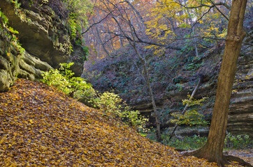 582-15 Autumn Canyon