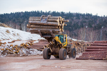 Open-air timber warehouse. A loader transports an armful of felled logs through the sawn timber yard.