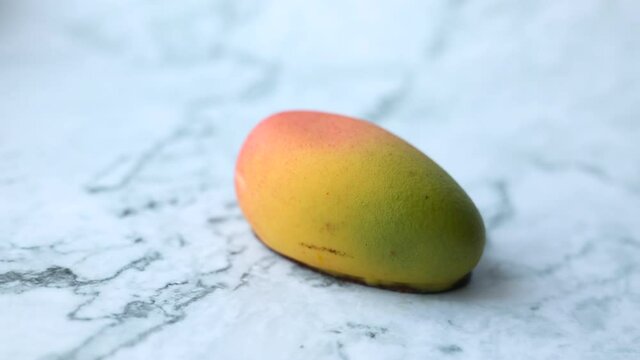 
cutaway mango mousse cake