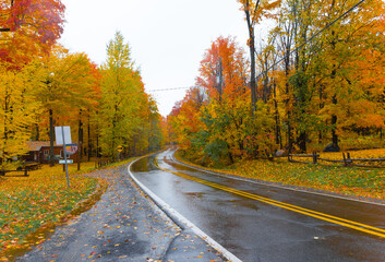 Fall foliage in the Canadian countryside (Quebec, Canada). Luxurious and colorful maple trees and other types of tree. Beautiful landscape taken from the yellow-lined road perspective.