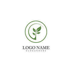 Mint leaves flat vector color icon template