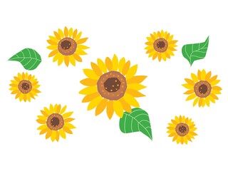 綺麗に咲いたたくさんのヒマワリの花