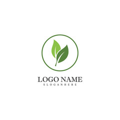 Mint leaves flat vector color icon template