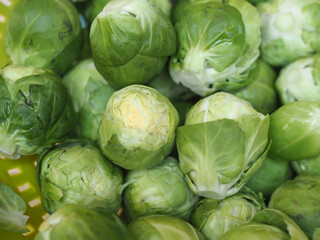 Fototapeta premium brussels sprout cabbage vegetables food